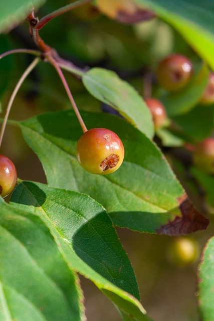 无法充分获 无法充分获