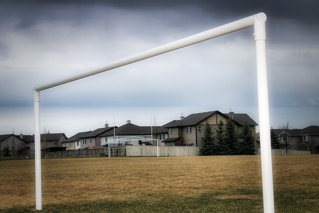 显著效果 显著效果