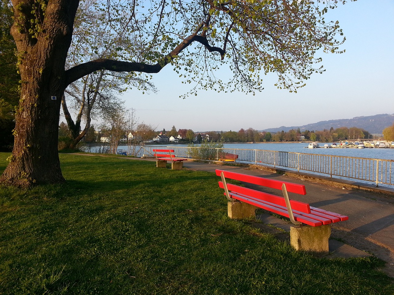 岁的莫德里 岁的莫德里